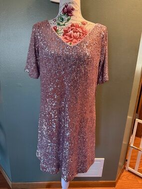 Ann Taylor Rose Sequin V-Neck Short Dress